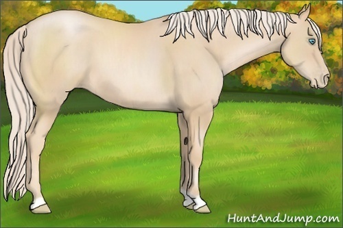 Horse Color:Palomino Pearl