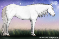 Horse Color:Gray White Spotted Silver Brown Appaloosa