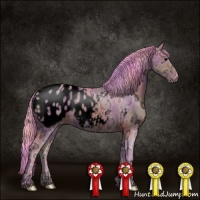 Horse Color:Void Nacre Watercolor Brown Ice Appaloosa