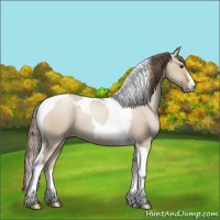 Horse Color:Grullo Pearl Sabino Tobiano