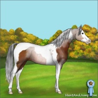Horse Color:Brown Sabino Splash Tobiano