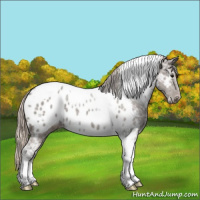 Horse Color:Silver Black Ice Tobiano Appaloosa 