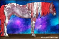 Horse Color:Watercolor White Spotted Gold Champagne Ice Pearl Onyx Snowcap Rabicano