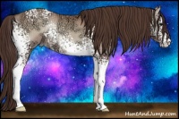 Horse Color:Watercolor White Spotted Classic Champagne Ice Onyx Varnish Rabicano 