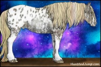 Horse Color:Watercolor White Spotted Gold Champagne Ice Tobiano Varnish Rabicano  and Watercolor White Spotted Gold Champagne Ice Pearl Onyx Blanket Rabicano 