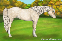 Horse Color:Palomino Roan Pearl  and Gray Palomino Roan Pearl 