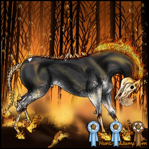 Horse Color:White Spotted Black Tobiano 