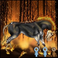 Horse Color:White Spotted Black Tobiano 