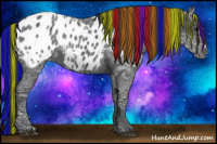 Horse Color:Painted Black Ice Appaloosa 