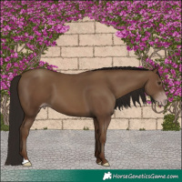 Horse Color:Gray Classic Champagne 