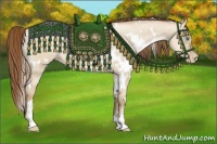 Horse Color:White Spotted Smoky Grullo Pearl Sabino 