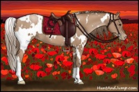 Horse Color:White Spotted Black Pearl 
