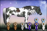 Horse Color:White Spotted Black