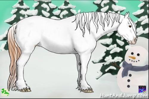 Horse Color:Buckskin Ice Dun Sabino Snowcap
