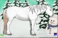Horse Color:Buckskin Ice Dun Sabino Snowcap 