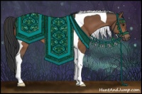 Horse Color:Bay Tobiano 