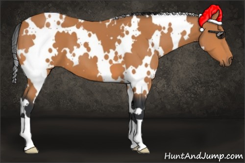 Horse Color:White Spotted Bay