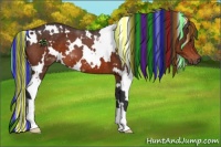 Horse Color:Painted White Spotted Brown 