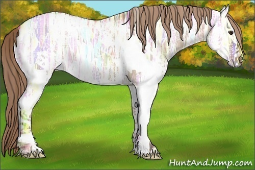 Horse Color:White Spotted Liver Red Dun Ice 