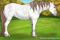 Horse Color:White Spotted Liver Red Dun Ice 