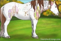 Horse Color:Chestnut Ice Splash Tobiano 