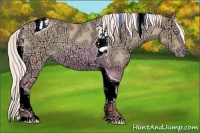 Horse Color:Silver Classic Champagne Ice Dun Tobiano Rabicano 