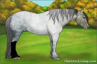 Horse Color:Black Ice Appaloosa 