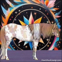 Horse Color:Nacre White Spotted Gold Champagne Roan Appaloosa Rabicano 