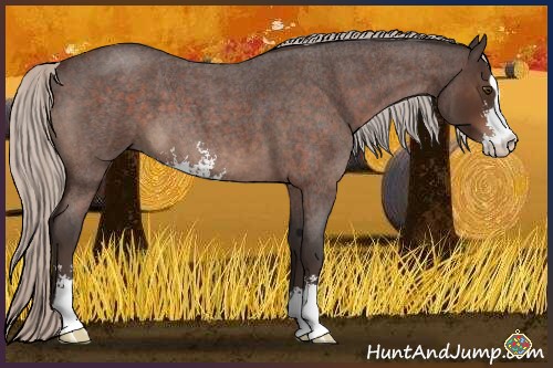 Horse Color:Silver Brown Roan Sabino