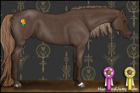 Horse Color:Liver Red Roan 