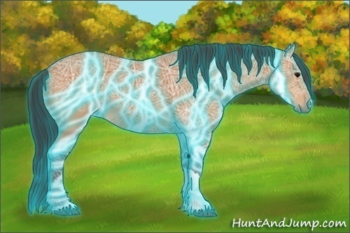 Horse Color:Thunderstruck Bay Ice