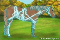 Horse Color:Thunderstruck Chestnut 