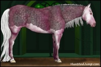 Horse Color:Silver Smoky Black Chinchilla Ice Splash 