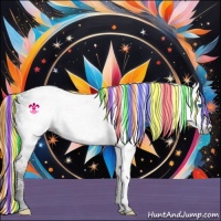 Horse Color:Gray Painted Liver Chestnut Ice Sabino Splash Rabicano 