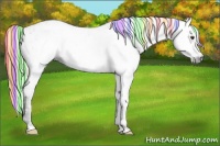 Horse Color:Gray Painted Midnight Liver Chestnut Ice Tobiano Near Leopard Rabicano 