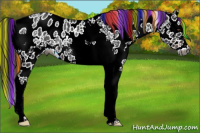 Horse Color:Gray Painted White Spotted Liver Chestnut Sabino Splash Near Leopard Rabicano 