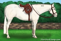 Horse Color:Palomino Roan Pearl and Palomino Roan Pearl
