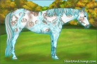 Horse Color:Thunderstruck White Spotted Silver Bay Dun 