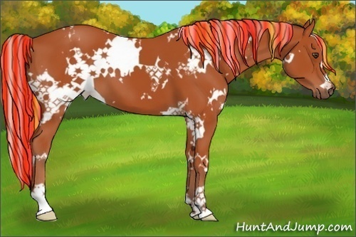 Horse Color:Painted White Spotted Silver Bay 