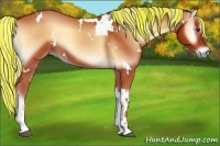 Horse Color:Painted White Spotted Silver Bay Onyx 