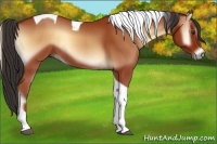 Horse Color:Bay Onyx Tobiano
