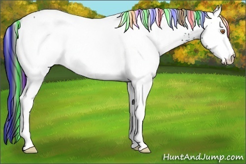 Horse Color:Painted White Spotted Black Ice 