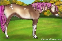 Horse Color:Painted White Spotted Red Onyx Sabino 