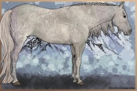 Horse Color:Silver Grullo Ice 