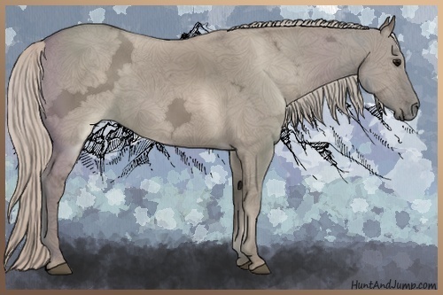 Horse Color:Silver Grullo Ice 