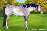 Horse Color:Bay Ice Onyx 