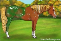 Horse Color:Painted White Spotted Silver Brown Splash Rabicano 