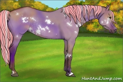 Horse Color:Painted White Spotted Silver Bay Dun Rabicano 