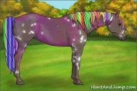 Horse Color:Painted White Spotted Silver Black Rabicano 