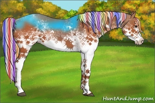 Horse Color:Painted White Spotted Silver Bay Rabicano 